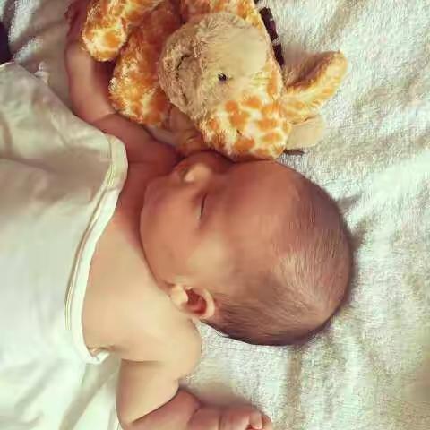 米雪公主成长记