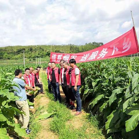原料采购中心开展“情系烟农送服务下乡”活动