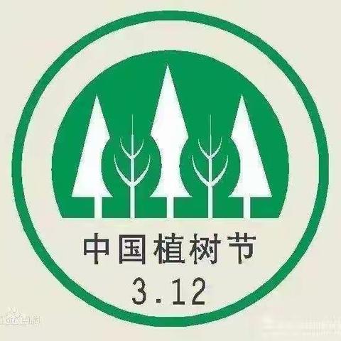 《3.12植树节》小三班主题活动