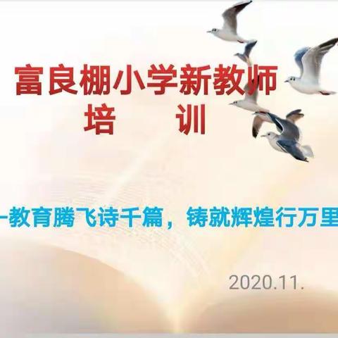 扬帆起航，绘梦未来——记富良棚小学新教师培训