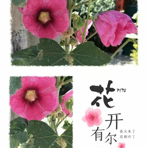 二一班的快乐生活