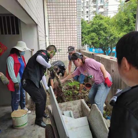 吴航街道航兴社区开展全国文明典范城市创建工作