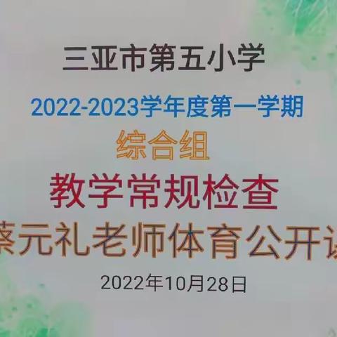 【教学展风采，检查促提升】——三亚市第五小学综合组教研会及体育公开课