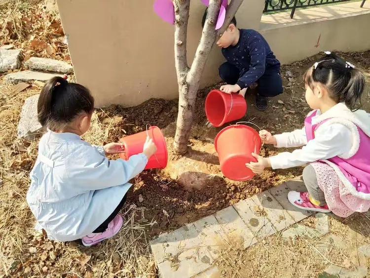 爱护树木，从我做起！