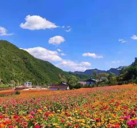 致三川籍在外乡贤的一封家书