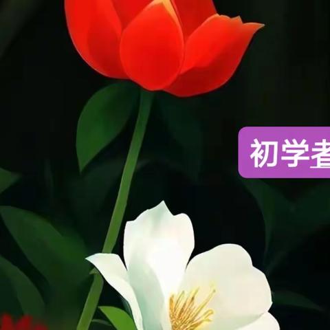 初学楷书、行书（2023.3）
