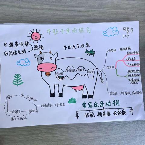 《在牛肚子里的旅行》思维导图