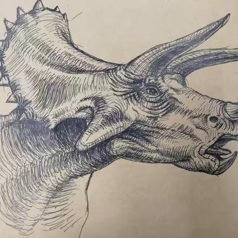 远古神秘生物散画+《时の回廊》（光田康典）乐曲，试试配不配