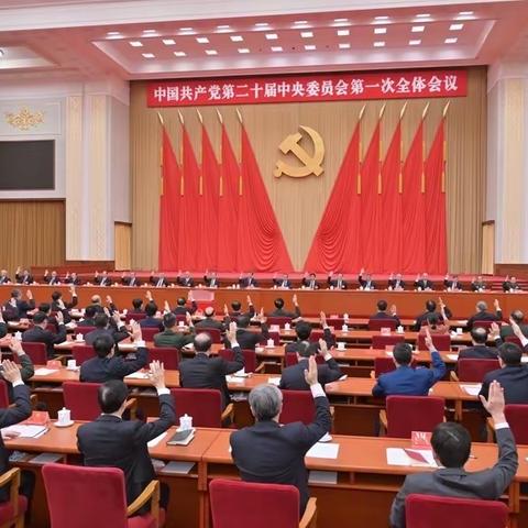习近平代表第十九届中央委员会向大会作报告