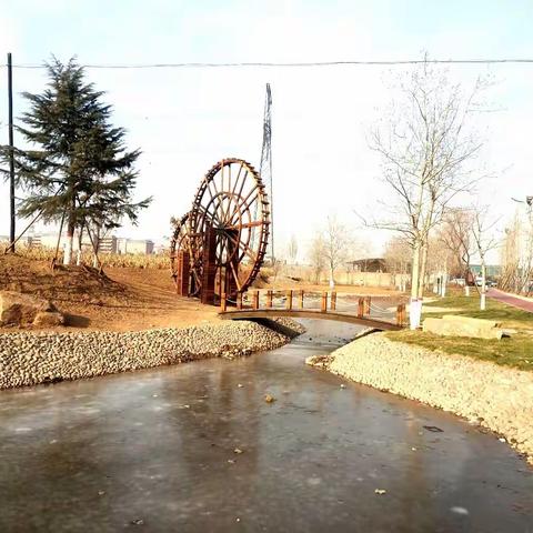 园林局工程建设科道路景观现场观摩学习