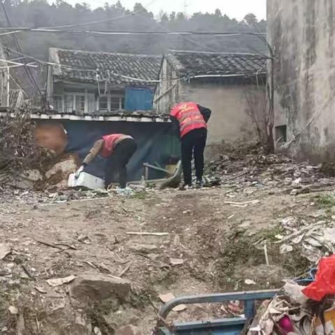 汀田街道金凤社区金后环境整治简报5