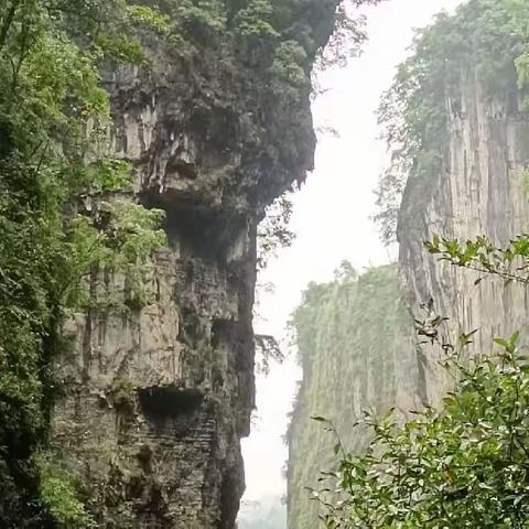 浓情夏日恩施游~~恩施大峡谷
