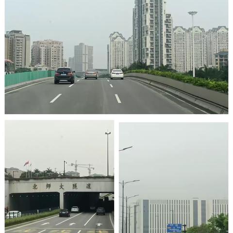 侨心向党·同心共聚一家亲
