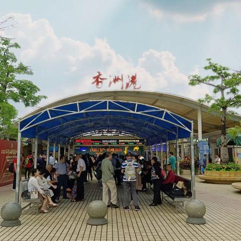 到访桂山岛——红色教育活动