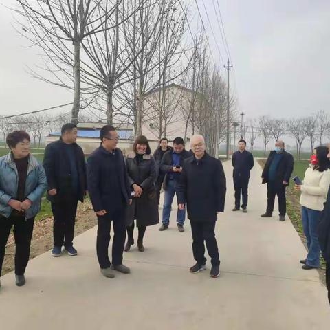 第二服务组对陶城镇、望田镇督查专报