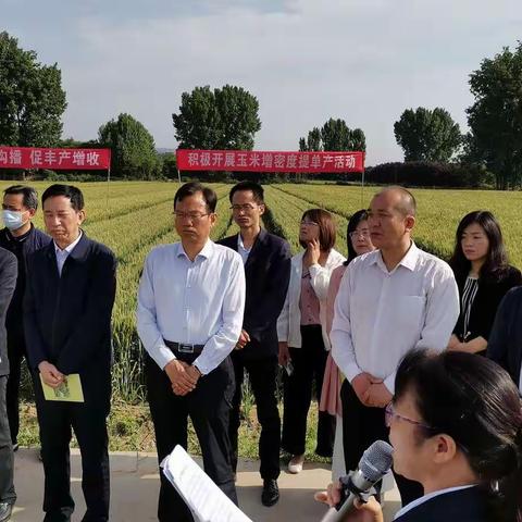 我为群众办实事—韩城市召开三夏暨南部粮食生产基地建设现场会