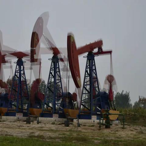 繁忙的磕头泵         临盘油田的风采