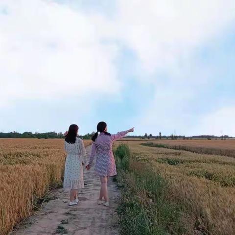 麦田魅影   渴望丰收