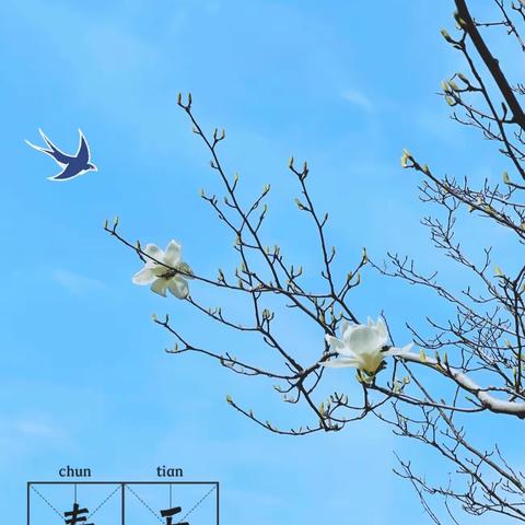 我是故事小主播邱雨芊一一籀园小学一年级语文项目化学习