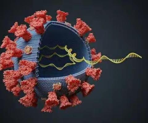 短短14秒就能感染，增大1260倍传染力的德尔塔病毒有何特点？