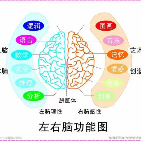 专注力思维课