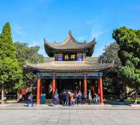 遨游书法艺术之林