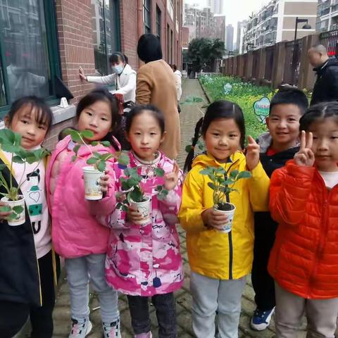 【蒲公英·劳动教育】种植绿色小苗，体验劳动快乐――合肥市和平小学东校南陵路本部一年级5班2021年首次种植活动