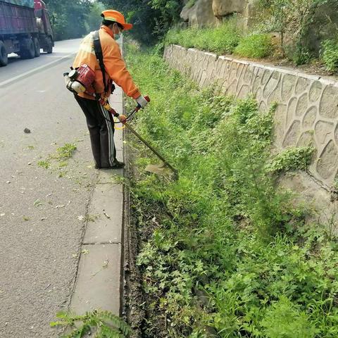 加强绿化管护   扮靓路域环境