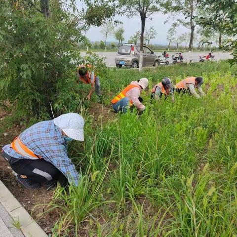 【宣化城管】清理道路绿化卫生死角  优化环境提升城市“颜值”