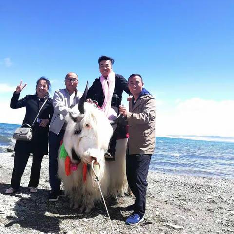 面朝大海，春暖花开