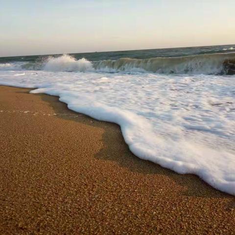 大海，阳光，沙滩，日落，海浪，贝壳，，，，