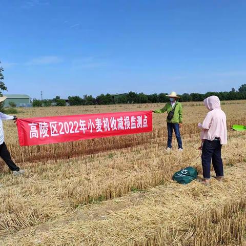 高陵积极开展小麦机收减损宣传及样本收集工作
