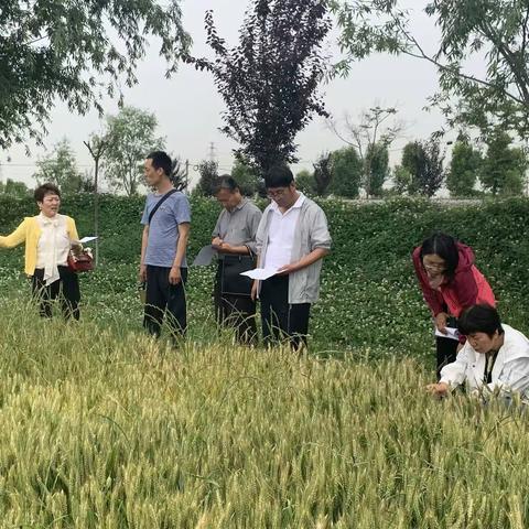 西安市农机总站来高陵调研农机自动驾驶系统应用情况