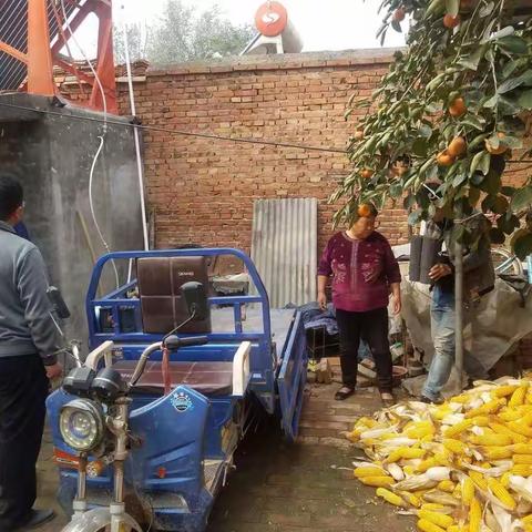 残联在毛演堡乡清理散煤