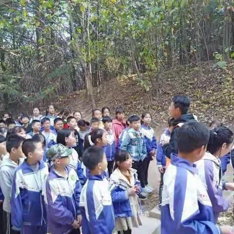 雅森素质拓展训练感想