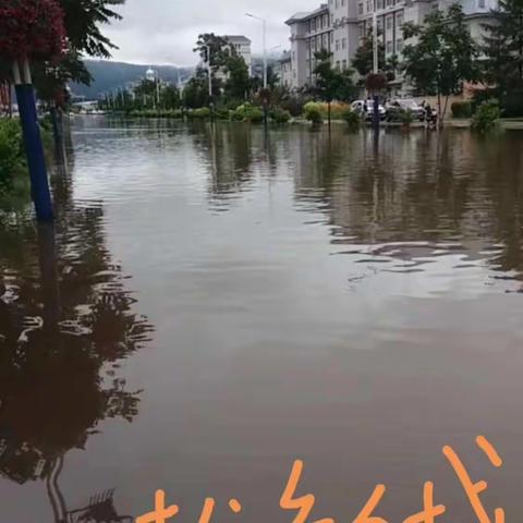 暴雨来袭，水漫满城。伊春人民团结抗洪更离不开森警部队官兵