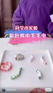 “疫情停课不停学”中班科学《彩色纸巾毛毛虫》——【含城第五幼儿园】