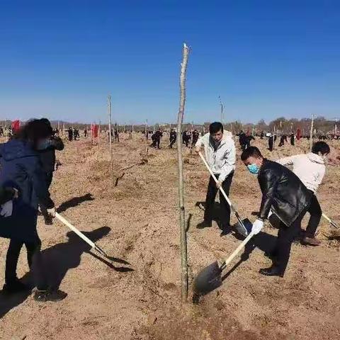 暖日和风植春树，凌水河畔添新绿                     ——义县教育和文化旅游局春季义务植树纪实