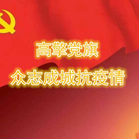 詹店镇【高擎党旗 众志成城抗疫情】纪实之七：疫情重防控 民兵在行动