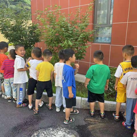 临港实验幼儿园——中一班，遇见大自然