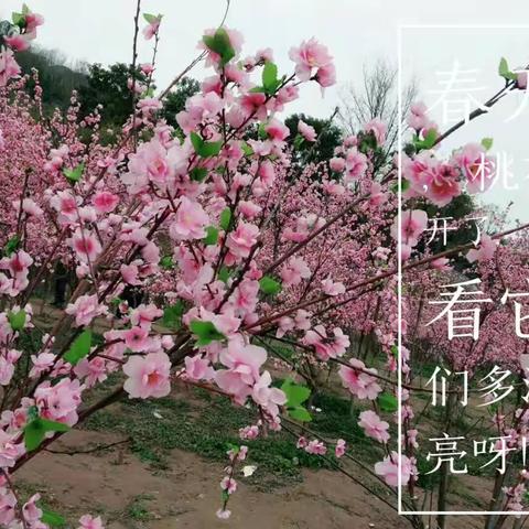 寒假的点点滴滴