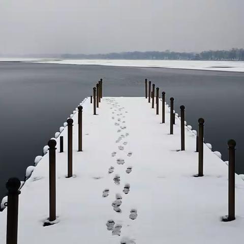 颐和园赏雪（手机拍摄）