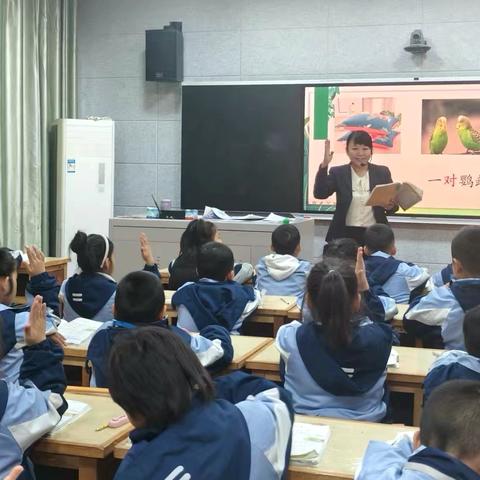 名师引领精雕琢 笃行致远共前行——伊宁市第十五小学“扬树魂”名师展示课活动