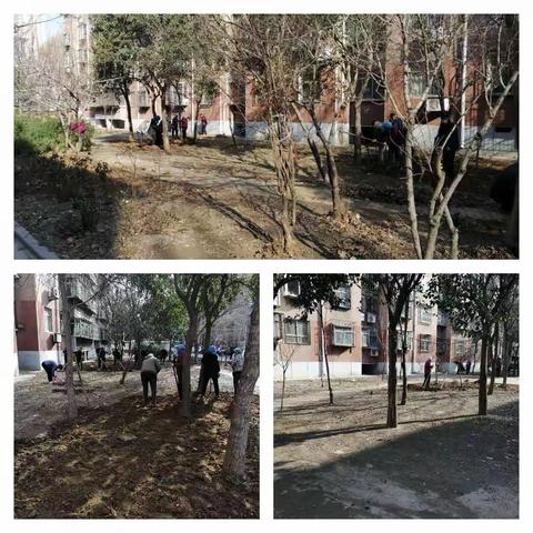 体育场街道的美篇