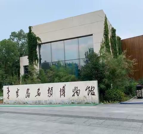 优越教育研学之旅——走进秦皇岛的博物馆