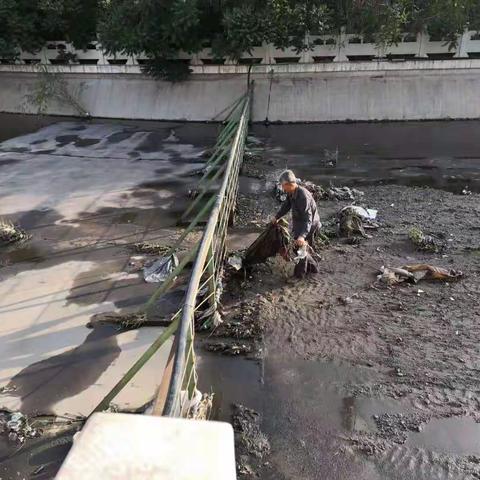 【绿色新滨河】滨河街道办事处白楼社区清理河道垃圾