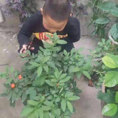 实验二小四二班开展“日行一善，月习一德”道德养成教育系列活动，四二班同学积极行动！