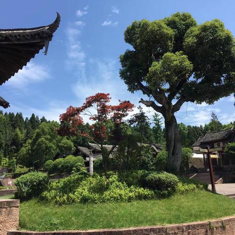 刘基故里，感受积淀丰富的历史文化