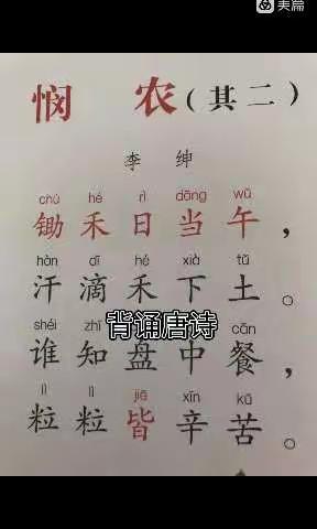 我的暑假社会实践