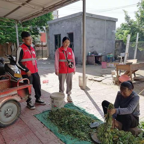 扫黑除恶再行动